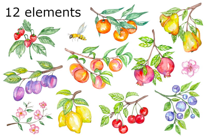 orchard-watercolor-clipart