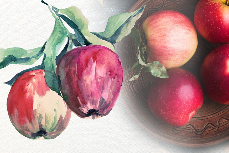 watercolor-apple-life-cycle-and-clip-arts