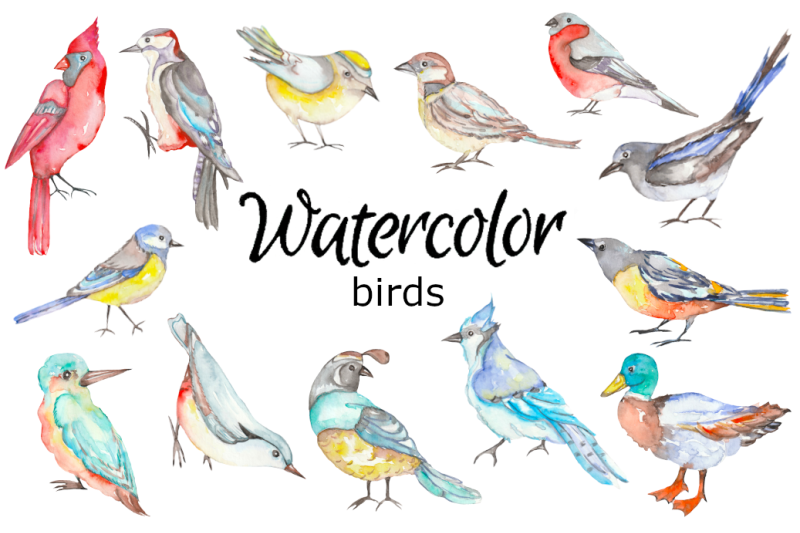 birds-watercolor-clipart