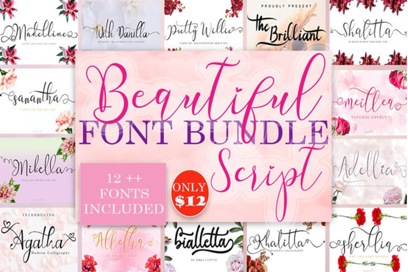 beautiful-script-font-bundles