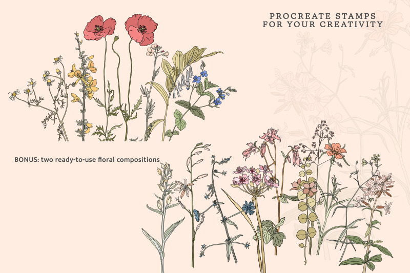 field-flowers-procreate-brushes-amp-clipart