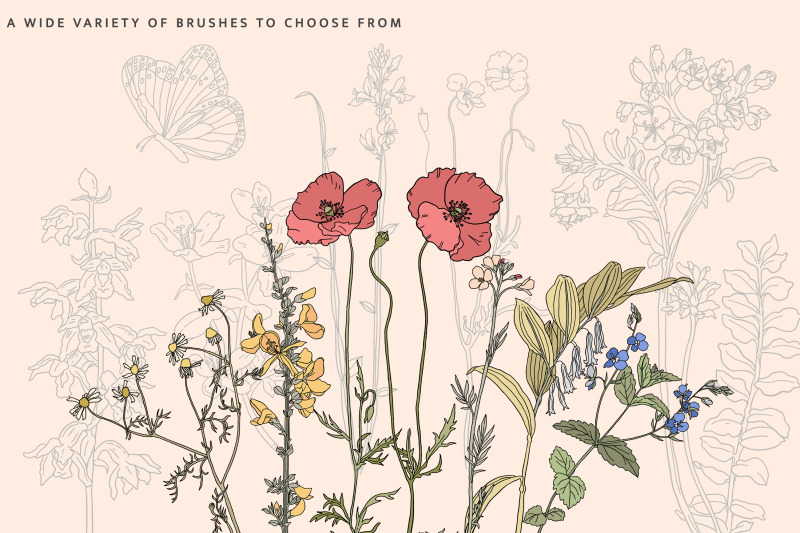 field-flowers-procreate-brushes-amp-clipart