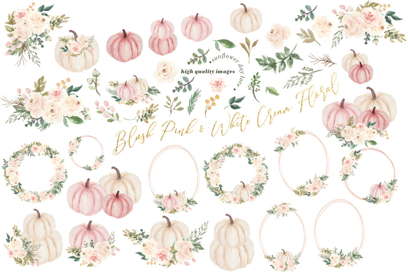 elegant-blush-pink-creamy-white-pumpkin-clipart-cream-flowers-pumpkin