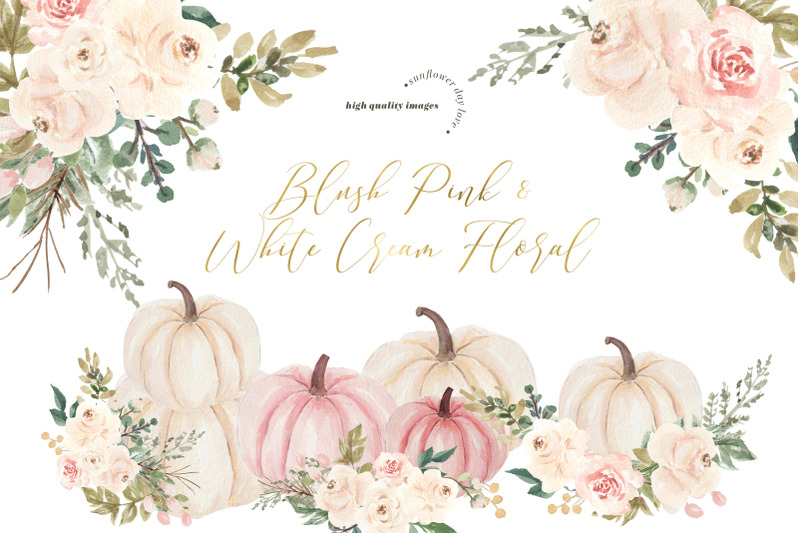 elegant-blush-pink-creamy-white-pumpkin-clipart-cream-flowers-pumpkin