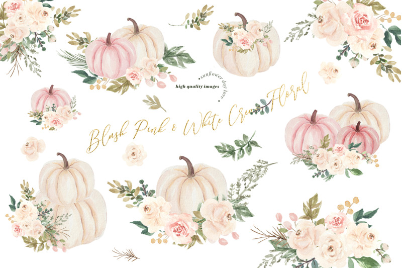 elegant-blush-pink-creamy-white-pumpkin-clipart-cream-flowers-pumpkin