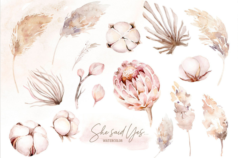 watercolor-boho-flowers-amp-cotton-heads-pampas-dried-palm-leaves-png