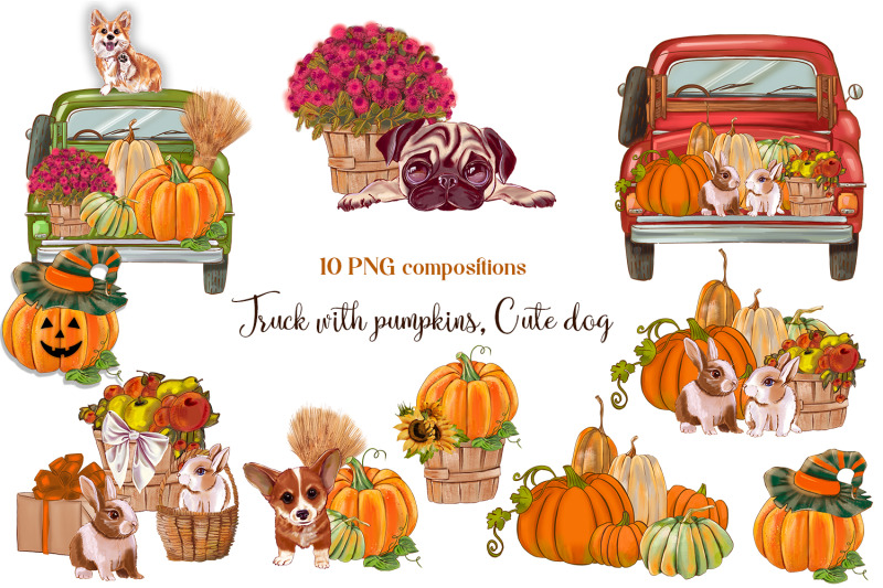 sunflower-pumpkin-picker-cute-dog-autumn-png-compositions