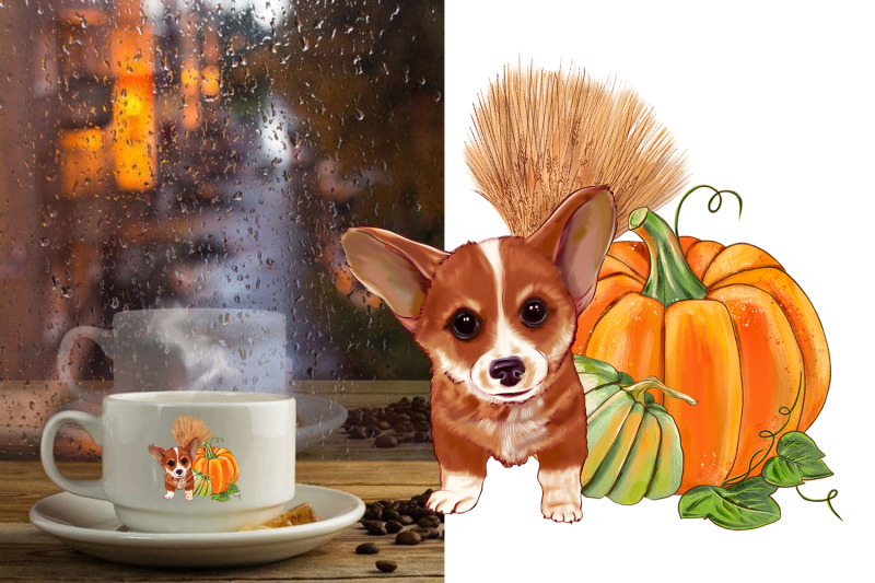 sunflower-pumpkin-picker-cute-dog-autumn-png-compositions