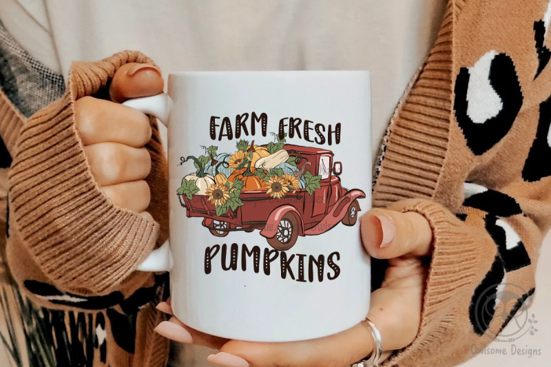 farm-fresh-pumpkins-autumn-farm