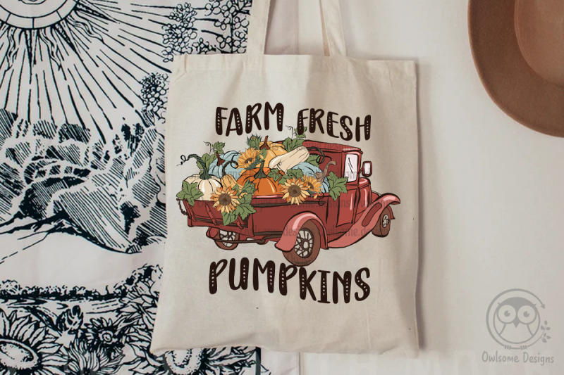 farm-fresh-pumpkins-autumn-farm