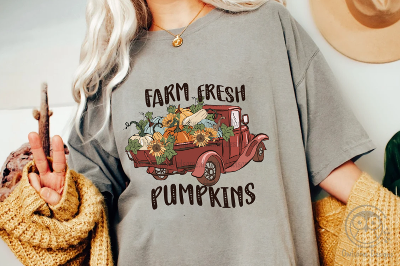 farm-fresh-pumpkins-autumn-farm