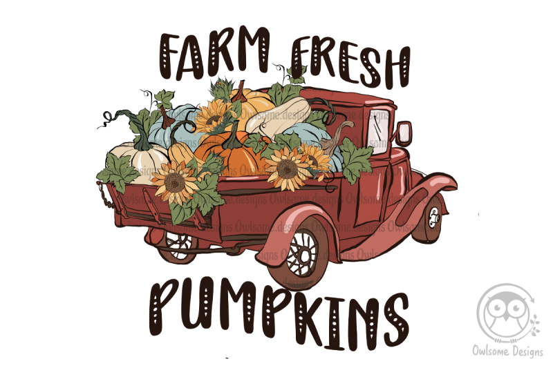 farm-fresh-pumpkins-autumn-farm