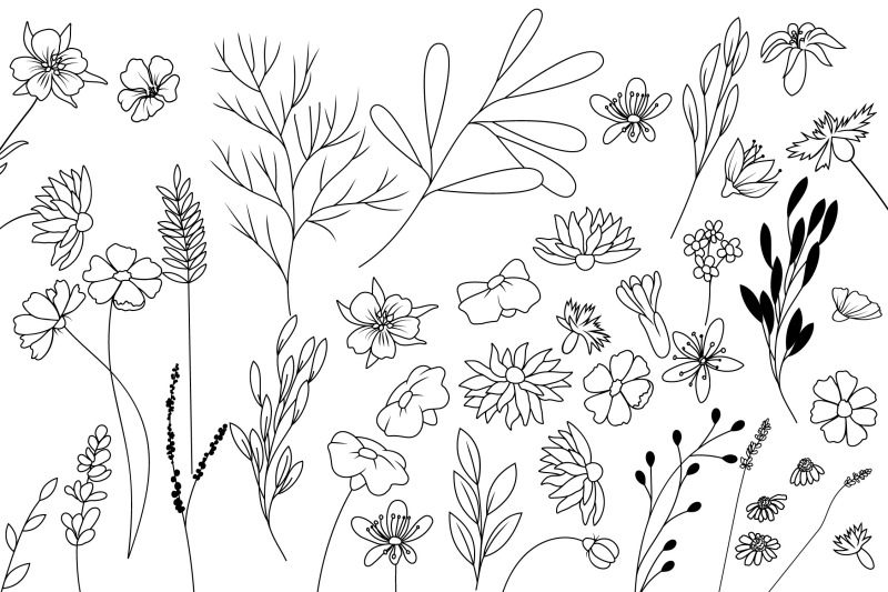 wildflower-and-leaves-svg-bundle-botanical-clipart-flowers