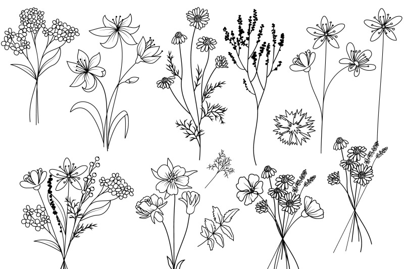 wildflower-and-leaves-svg-bundle-botanical-clipart-flowers