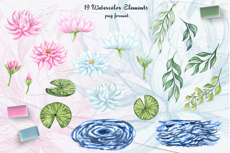 water-lily-clipart-lotus-illustration