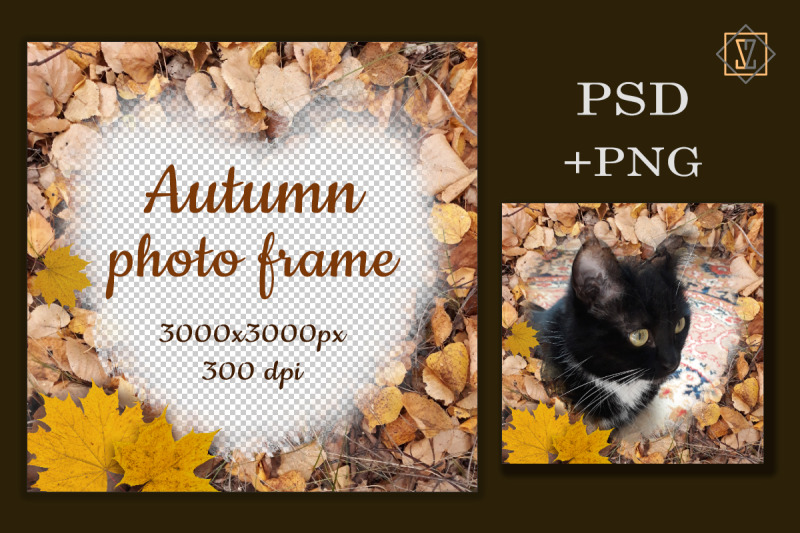 photo-frame-in-the-form-of-a-heart-autumn-digital-clipart