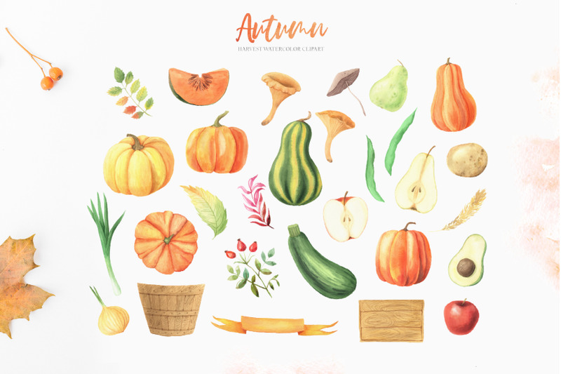watercolor-fall-autumn-harvest-clipart