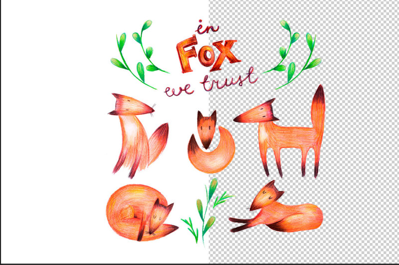 foxes-set