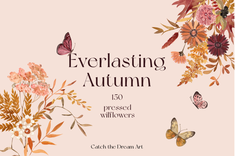 everlasting-autumn-pressed-wildflowers-watercolor-clipart