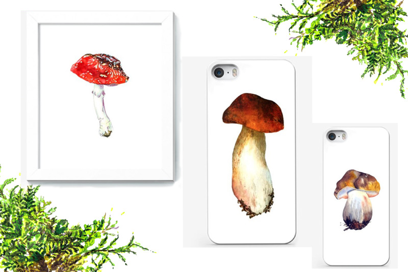 watercolor-forest-mushrooms-clipart-autumn-clipart