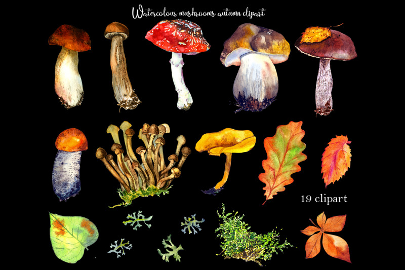 watercolor-forest-mushrooms-clipart-autumn-clipart