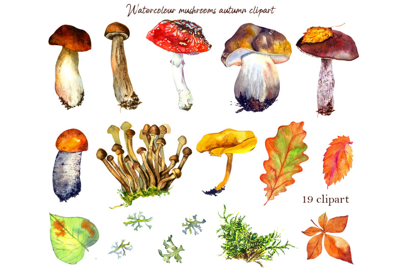 watercolor-forest-mushrooms-clipart-autumn-clipart