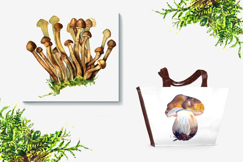 watercolor-forest-mushrooms-clipart-autumn-clipart