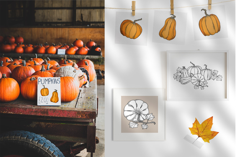 fall-pumpkins-hand-drawn-autumn-outline-and-colored-vector-clipart