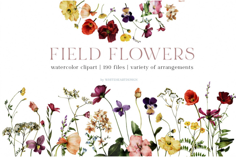 field-flowers-watercolour-clipart