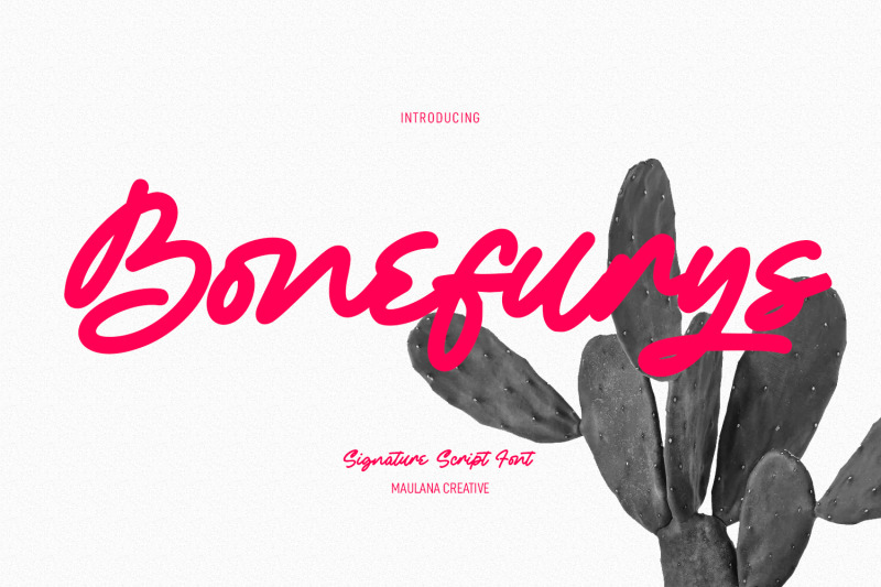 bonefurys-handwritten-script-font