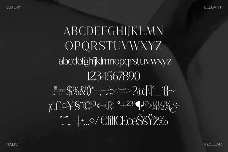 champhin-typeface