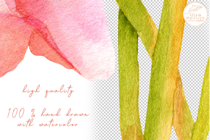 watercolor-fall-roses-and-leaves-dry-autumn-flowers-clipart