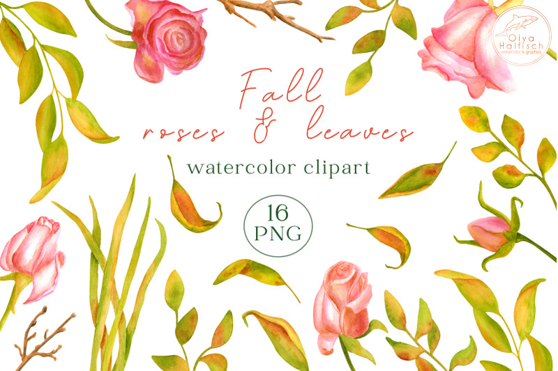 watercolor-fall-roses-and-leaves-dry-autumn-flowers-clipart