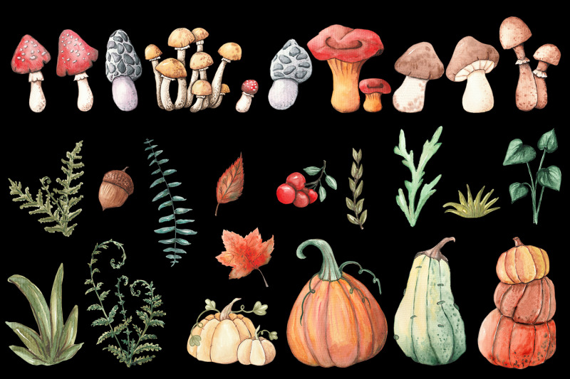 watercolor-mushrooms-and-pumpkins-autumn-clipart