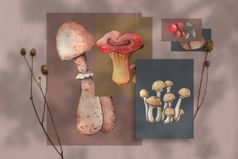watercolor-mushrooms-and-pumpkins-autumn-clipart