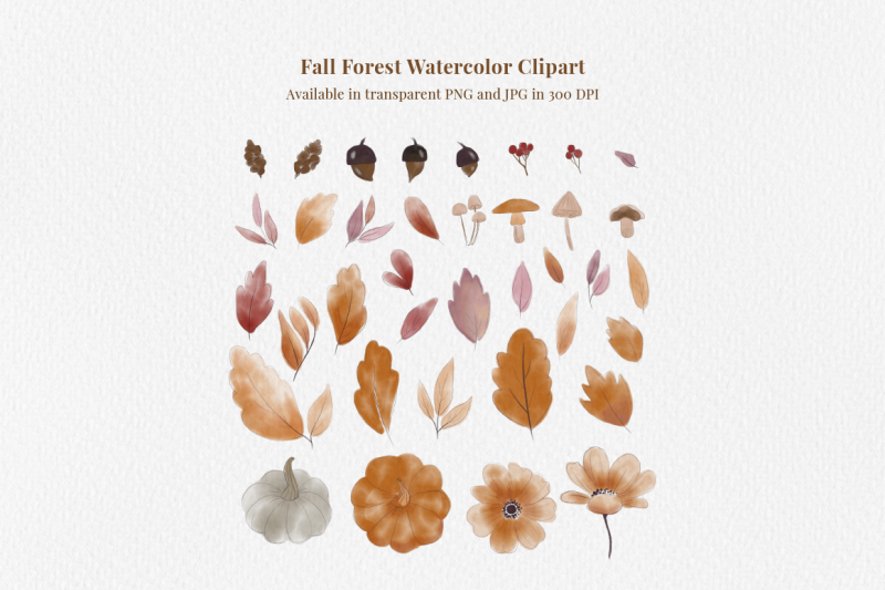 fall-forest-watercolor-clipart-collection