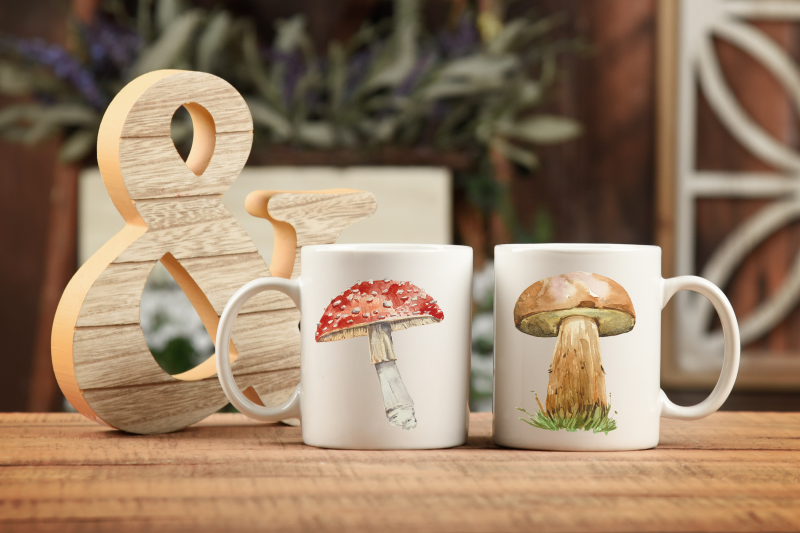 america-mushroom-watercolor-set
