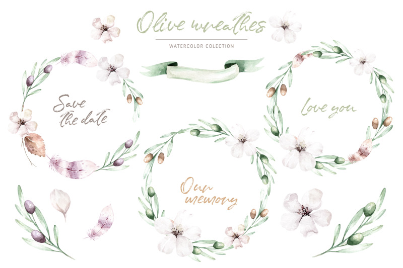 olive-blossom-tree-clip-art-watercolor-olive-png-set