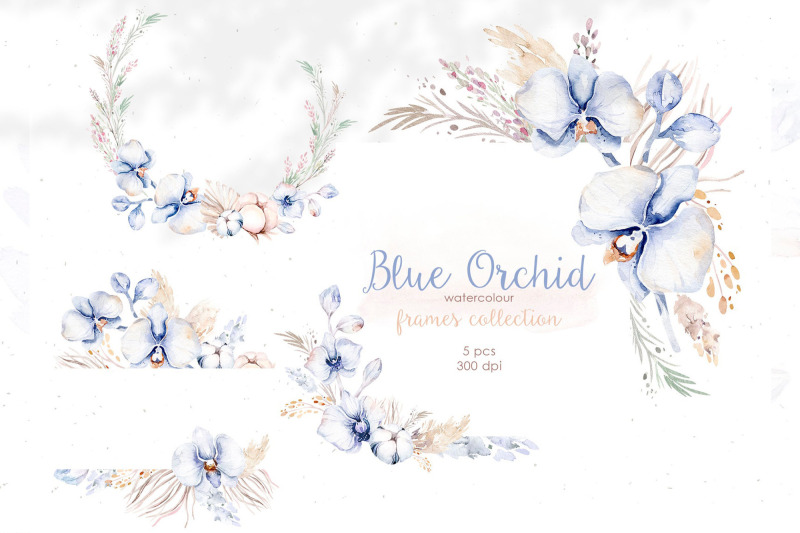 blue-orchid-watercolor-clipart-png-border-frames-and-elements