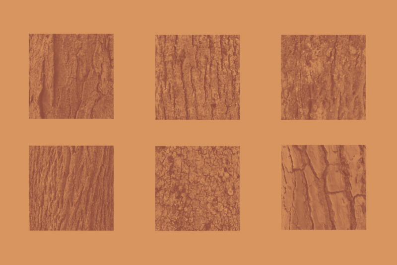 50-tree-bark-photoshop-stamp-brushes
