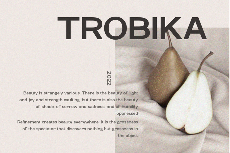 trobika-modern-sans-serif
