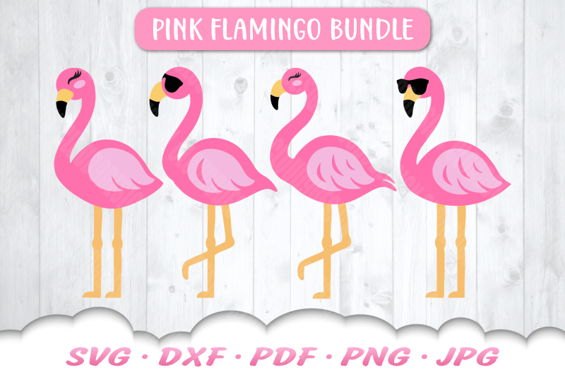 flamingo-svg-bundle