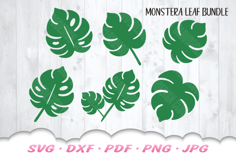 flamingo-svg-bundle-monstera-leaf-svg