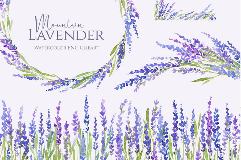 watercolor-lavender-flowers