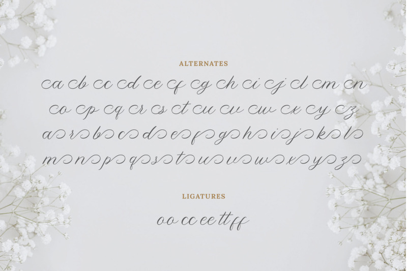yolitica-modern-handwritten
