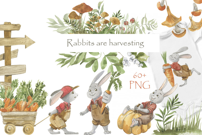 rabbits-are-harvesting-watercolor-illustrations