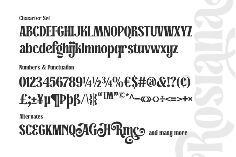 rosiana-modern-serif