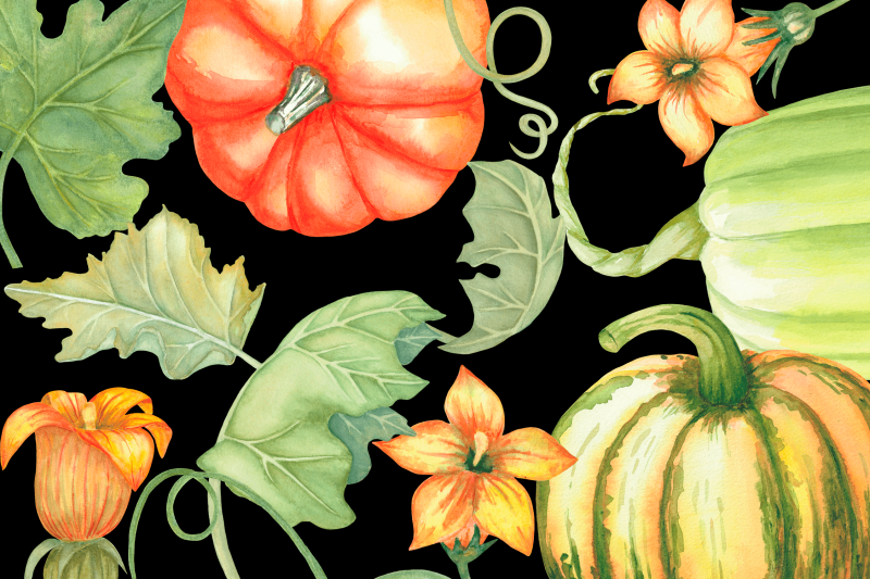 hand-painted-watercolor-pumpkins-clipart