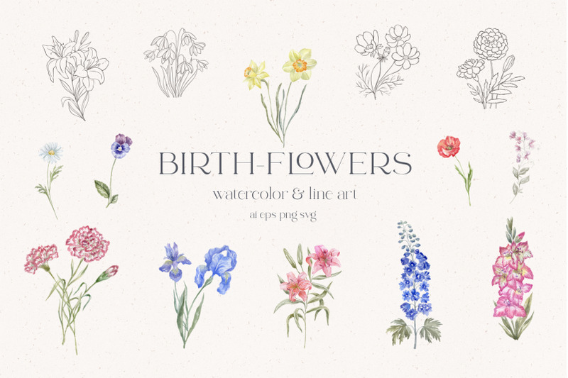 birth-flowers-watercolor-amp-line-art