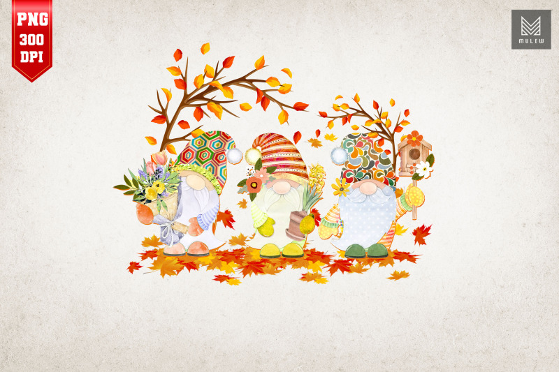 hello-autumn-fall-gnomes